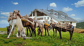 Ferienwohnungen in Bulgarien