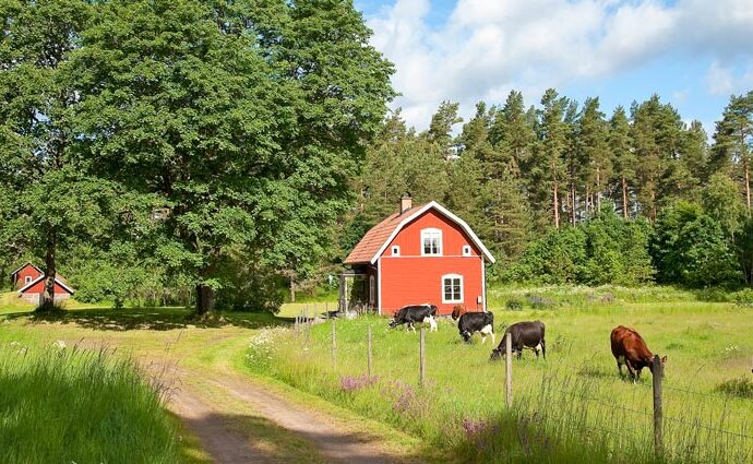 Ferienwohnungen in Schweden